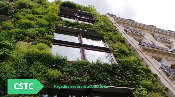 CSTC-illustration-pretextephoto-facade-vegetalisee-voisine-facade-pierre