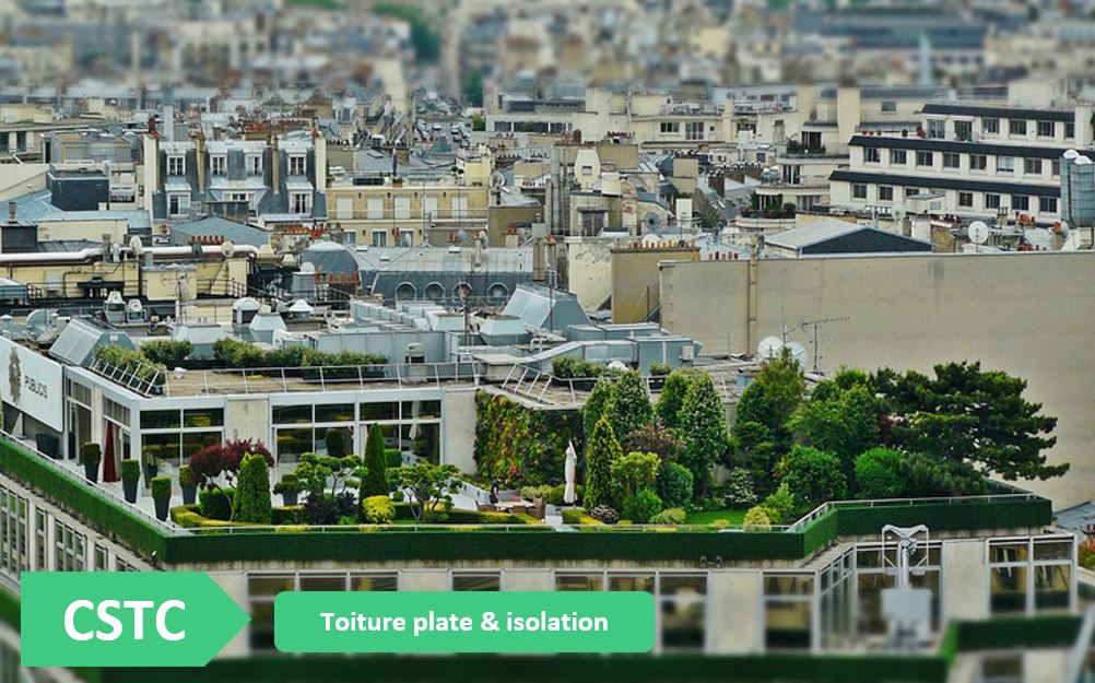 CSTC-vue-toiture-plate-vegetalise-ville-illustration-pretexte