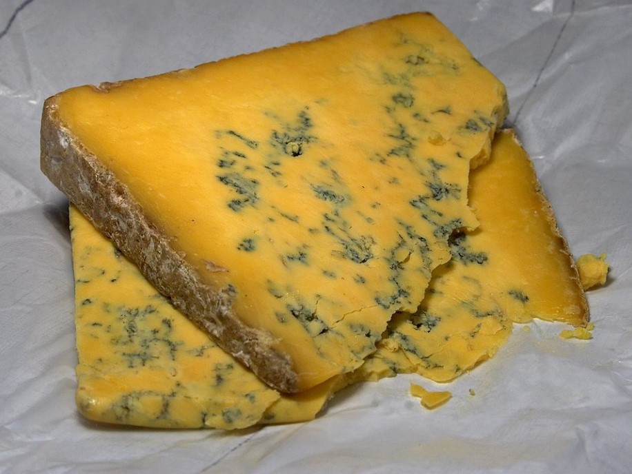 fromage-moisissure-bleu-pate-orange-shropshire