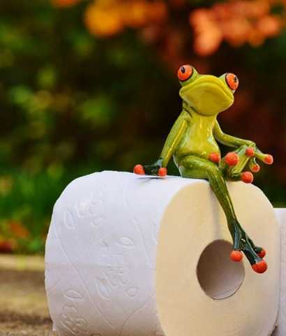 pouleau-papier-wc-recyclage-route-avec-grenouille
