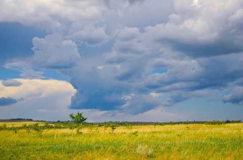 prairie-sauvage-sous-ciel-nuageux-by-Larisa-K-illustration-pretexte