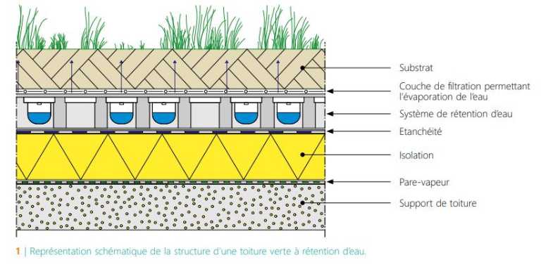 CSTC-schema-structure-toiture-verte-a-retention-eau