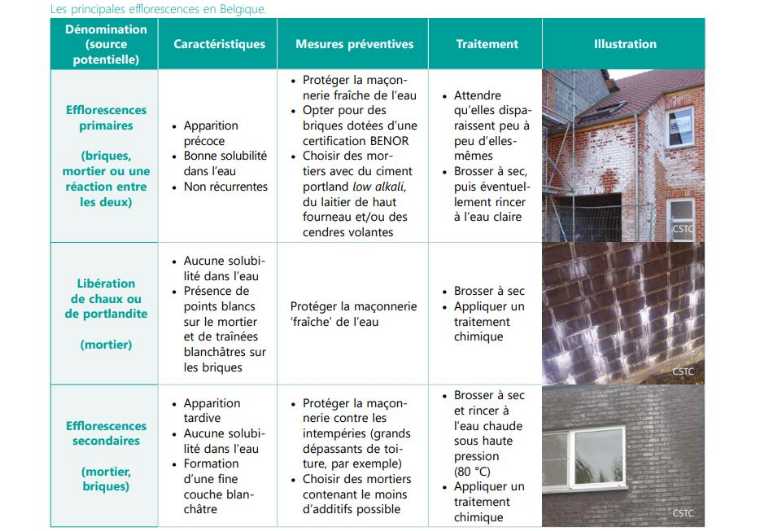 CSTC-principales-efflorescences-en-Belgique