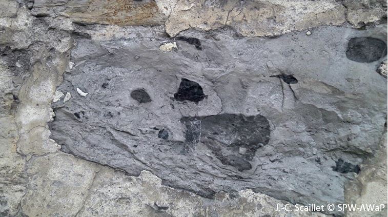 JC-Scaillet-pierre-bleue-de-Tournai-taches-noires-concretion-siliceuse-sombre