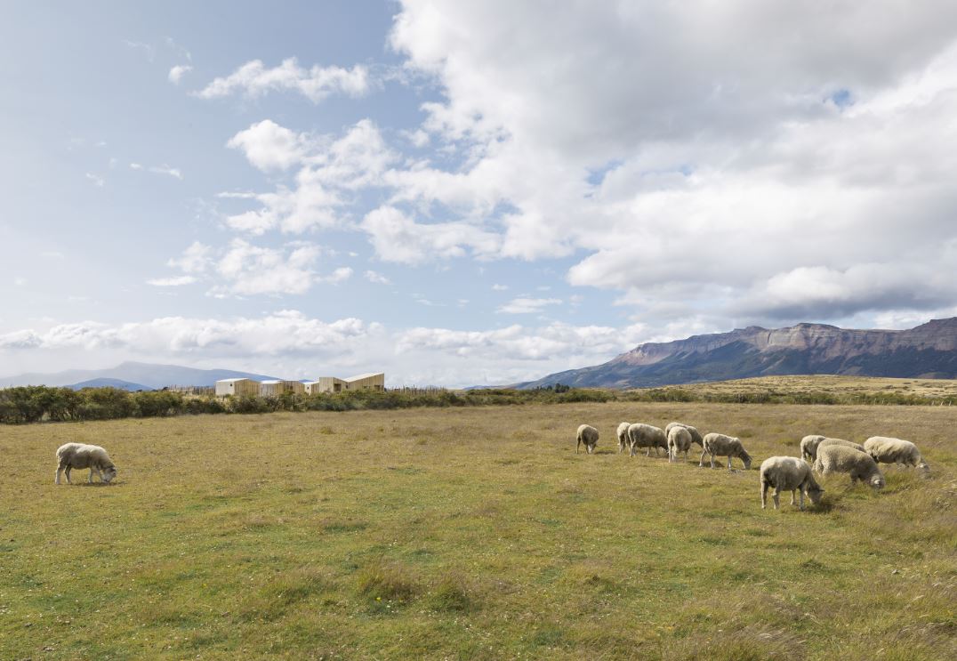 Larroulet-photo-hotel-Aka-Patagonia-dans-paysage-avec-moutons-avant-plan
