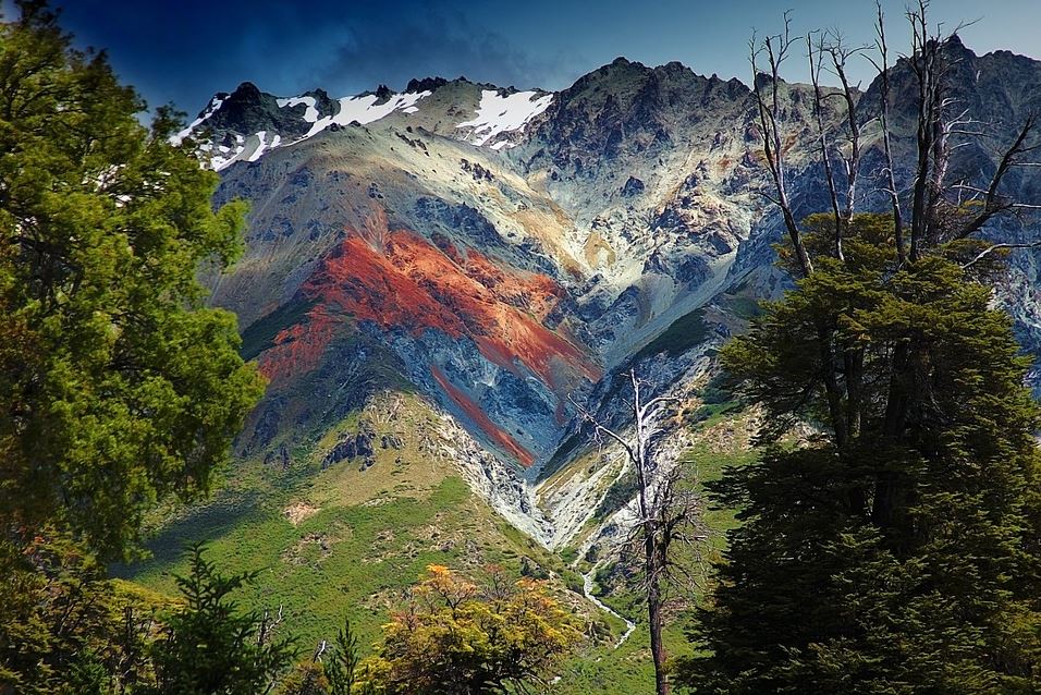 paysage-nature-patagonie-montagnes-arbre