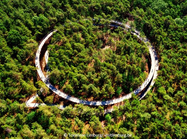 Toerism-Limburg-passerelle-velo-dans-les-arbres-vue-aerienne