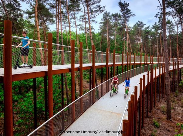 Toerism-Limburg-passerelle-velo-dans-les-arbres