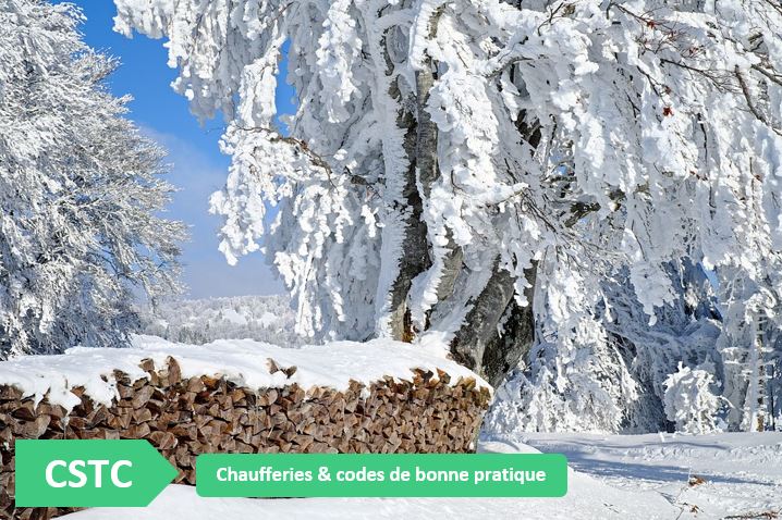 CSTC-paysage-hivernal-neige-tas-de-buches