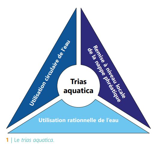 CSTC-trias-aquatica
