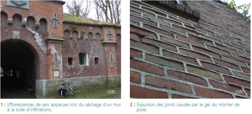 CSTC-efflorescence-et-expulsion-joints