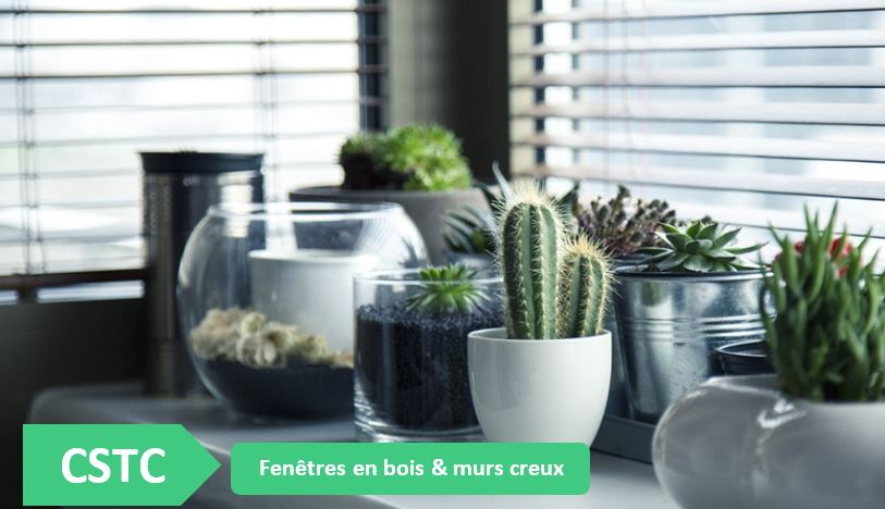 fenêtre-avec-cactus-illustration-pretexte