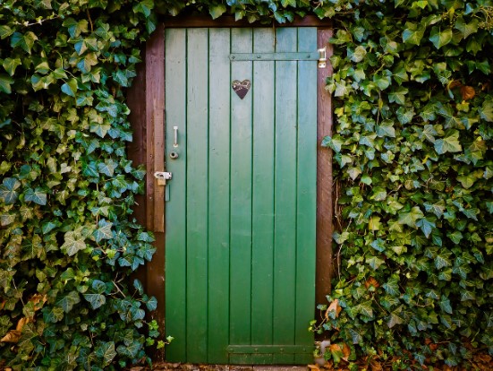 toilettes-coeur-porte-bois-lierre-illustration-pretexte