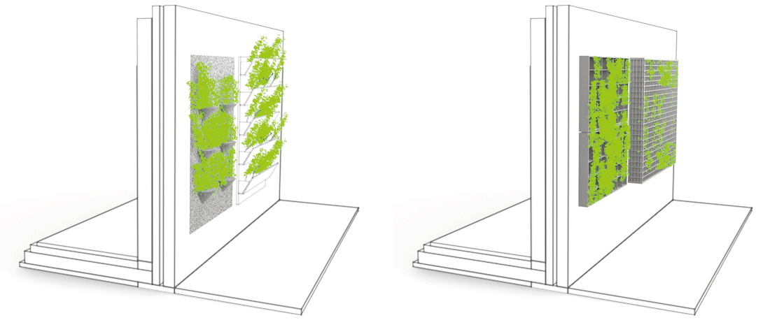 illustration_facade_vegetalisee-differentes-techniques