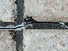 CSTC_photo_microfissuration_dans_joint_de_mortier