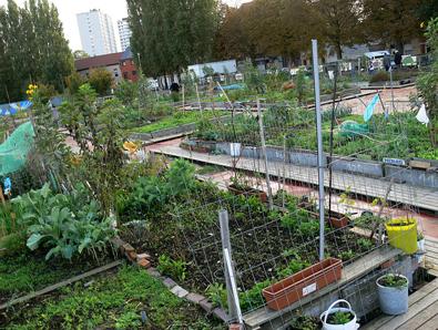 Rabot-Blaisantvest_jardins_communautaires_by_Lamiot