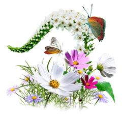 Flowers_Wildflowers_Icon_by_Itzik_Gur