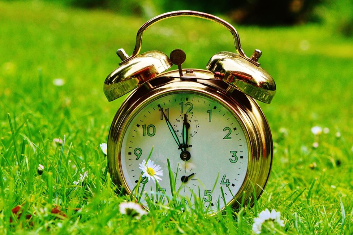 horloge_dans_prairie_fleurie_image_pixabay