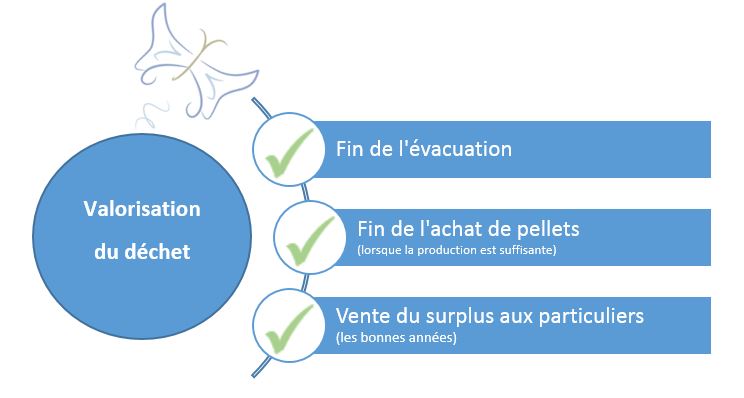 infographie_valorisation_dechet_effet_papillon