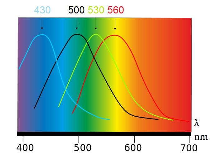 graphique de spectrométrie