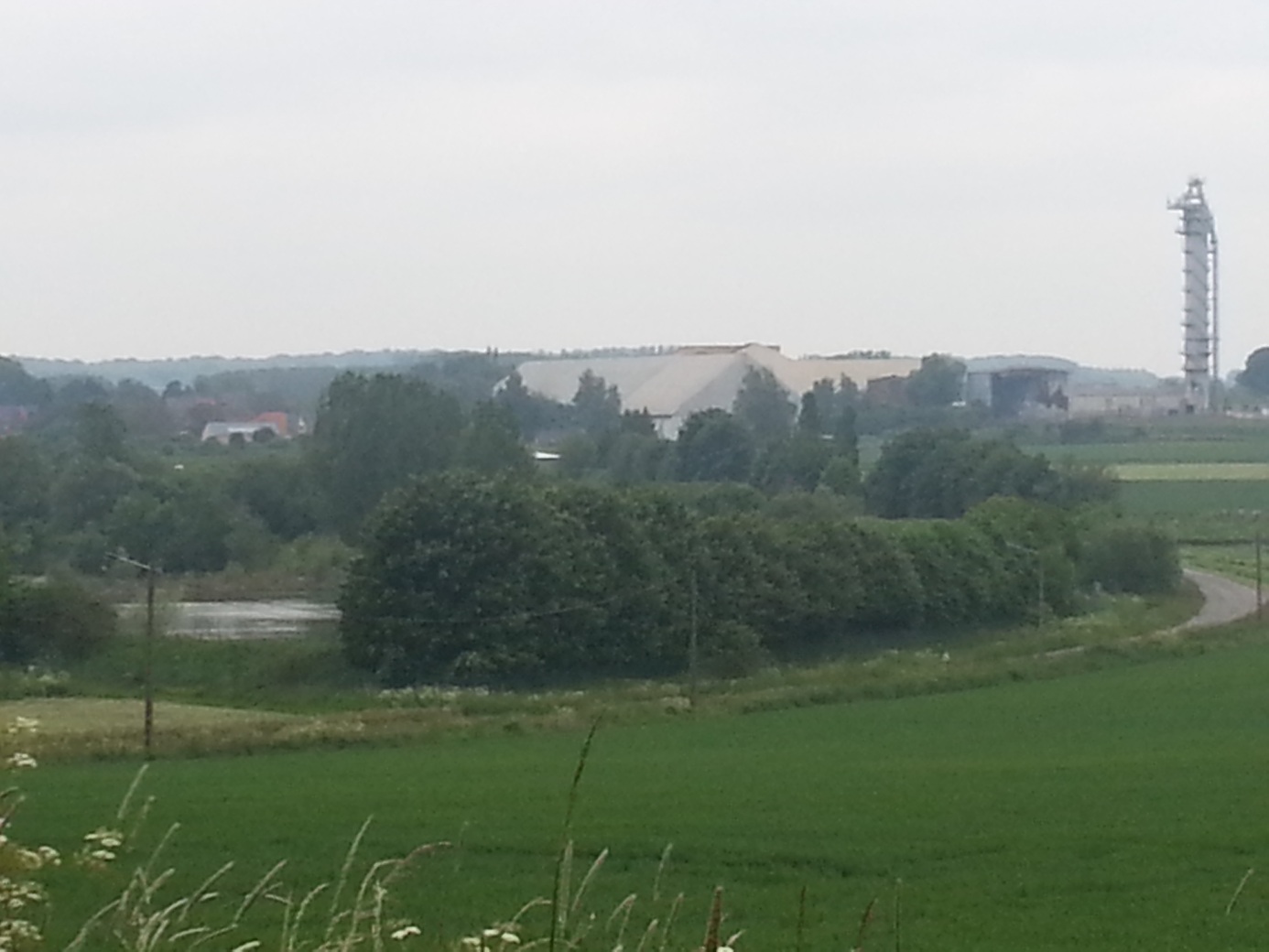 bassin du chantier vert