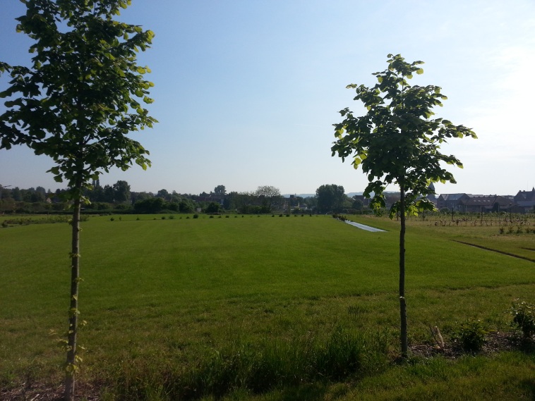 vue de l'arrière du chantier vert